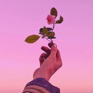 Meet your Posher, Aedyn